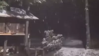 Kartepe'ye Mevsimin İlk Karı Düştü: Kış Turizmi Başlıyor