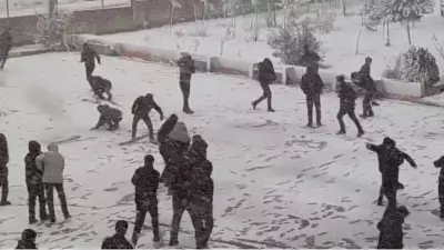 Mardin ve Şırnak'ta Kar Tatili: 31 Aralık'ta Eğitime Ara Verildi