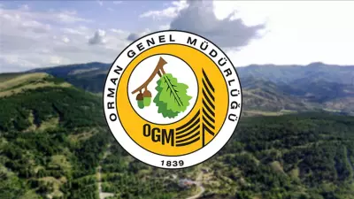 OGM 496 Personel Alımı Sonuçları Açıklandı mı? İşte Beklenen Tarih ve Kadrolar
