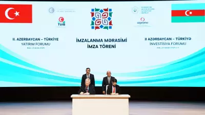 SOCAR Türkiye'de 225 Milyon Dolarlık Enerji Santrali Satın Aldı