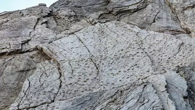 İtalya'da 200 Milyon Yıllık Binlerce Dinozor İzi Keşfedildi