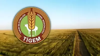 TİGEM 254 Personel Alacak: Başvurular 29 Aralık'ta Başlıyor