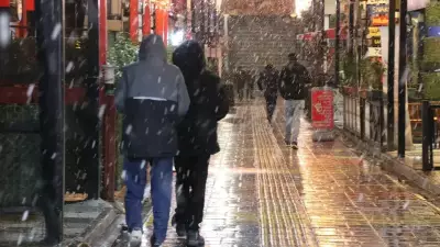 Van'da Mevsimin İlk Karı Yağdı, Sokaklar Beyaza Büründü