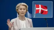 AB, Trump'ın Grönland Hamlesine Tepki Gösterdi: Danimarka'yla Dayanışma