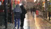 Van'da Mevsimin İlk Karı Yağdı, Sokaklar Beyaza Büründü