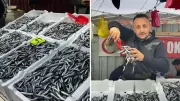 Zonguldak'ta Hamsi Bolluğu Sona Erdi: Fiyatlar 150 Liraya Yükseldi