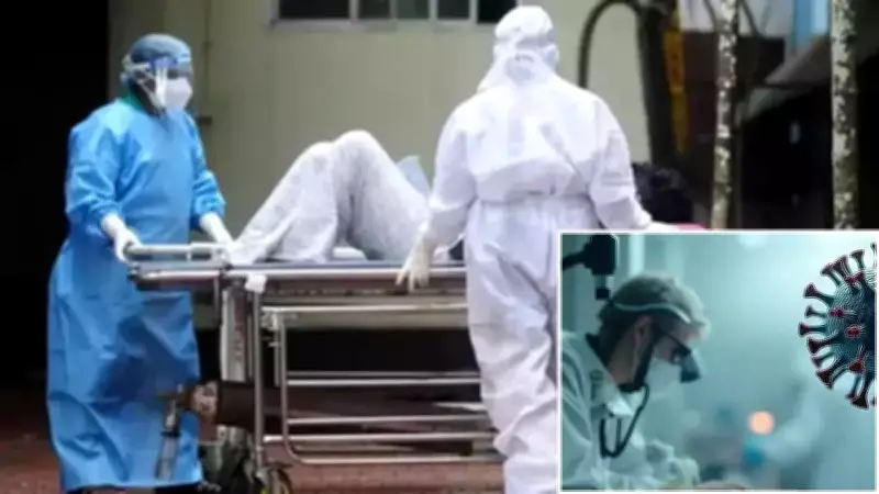 DSÖ, Nipah Virüsünü Acil Araştırma Listesine Aldı: Ölümcül Oran Yüzde 70'e Ulaşıyor