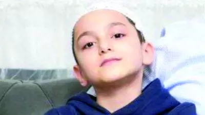 Ankara'da Başıboş Köpek Saldırısı: Kurumlara Emsal Tazminat Cezası