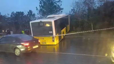 Arnavutköy'de İETT Otobüsü Ormanlık Alana Uçtu: Faciadan Dönüldü