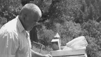 Bartın'da Acı Olay: Kestiği Ağacın Altında Kalan 65 Yaşındaki Adam Hayatını Kaybetti