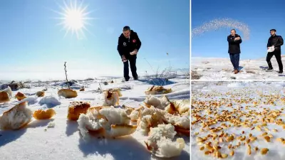 Darende'de Kar Altında Kalan Yaban Hayvanlarına Buğday ve Ekmek Yardımı