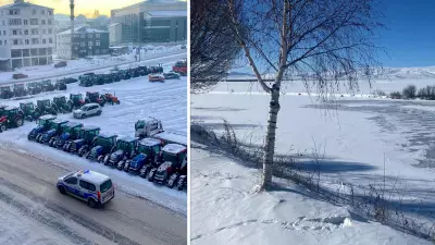 Doğu Anadolu'da -28 Derece: Ardahan, Erzurum, Kars ve Ağrı Buz Kesti
