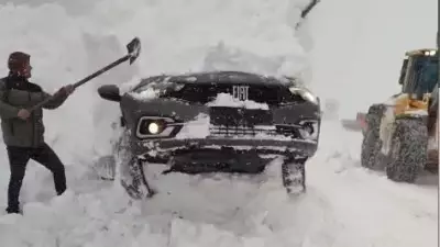 Giresun'da Tipiye Yakalanan Araç Kara Saplandı: Kurtarma Operasyonu