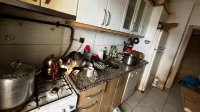 Kandıra'da Koku İhbarı: 38 Köpek ve 17 Kedi Sağlıksız Evden Kurtarıldı