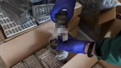 Kayseri'de Kaçakçılık Operasyonu: 523 Bin 600 Makaron Ele Geçirildi