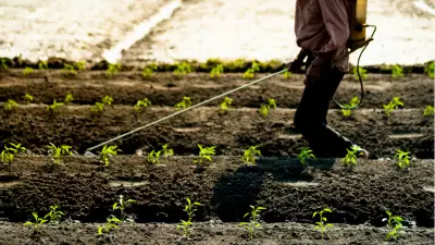 Tarımda B-Reçete Dönemi Başlıyor: 1 Temmuz'da Zorunlu Oluyor
