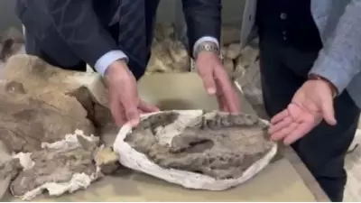 Tuzluca'da 30 Milyon Yıllık Dev Gergedan Fosili Bulundu