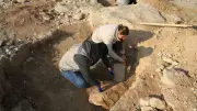Adıyaman'da Göbeklitepe'yi Andıran 11 Bin Yıllık T Şeklinde Taşlar Bulundu