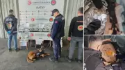 Hatay'da Tarihi Uyuşturucu Operasyonu: 1.4 Milyon Hap Ele Geçirildi