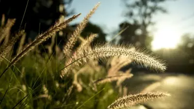 2. Cemre İçin Geri Sayım Başladı: Suya Ne Zaman Düşecek?