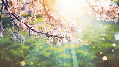 2026 Cemre Düşme Tarihleri Açıklandı: İlk Cemre Ne Zaman?