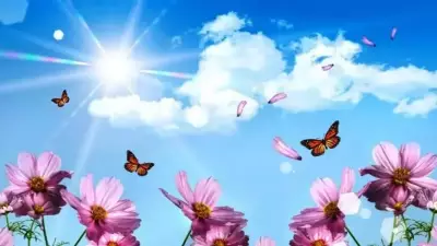 2026 Nevruz Bayramı Tarihi ve Binlerce Yıllık Gelenekleri