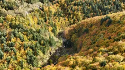 21 İlde Orman Sınırları Değişti: Resmi Gazete'de Yayımlanan Karar Yürürlüğe Girdi