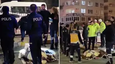 Şanlıurfa'da Trafik Kazası: Bir Can Kaybı, Bir Sürücü Gözaltında