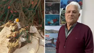 Antalya'da Kritik Seviyedeki Boğa Vatozu Sürüsü Bilim Dünyasına Sunulacak