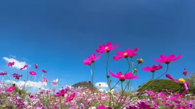 Baharın Son Müjdecisi: Üçüncü Cemre Toprağa Ne Zaman Düşecek?