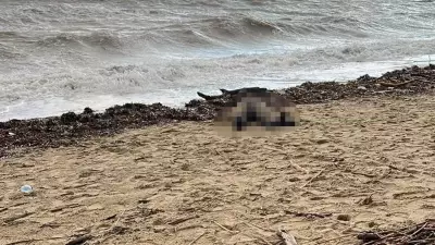 Balıkesir Ayvalık'ta Sahile Vuran Kadın Cesedi Bulundu, Göçmen Olabileceği İfade Edildi