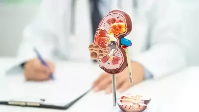 Böbrek Hastalarında Kişiye Özel Beslenme Planı Hayati Önem Taşıyor