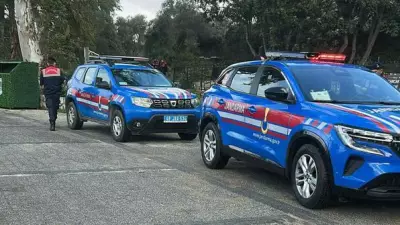 Bodrum'da 2 Sokak Köpeğini Vuran Şüpheli Tutuklandı