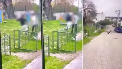 Bodrum'da Çocuğa Yönelik Şiddet Görüntüleri Sosyal Medyada: 2 Kişi Gözaltında