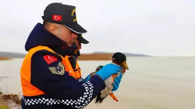 Bursa'da Kaçak Avcılara Büyük Operasyon: 8 Kişi Yakalandı, 432 Bin Lira Ceza Kesildi