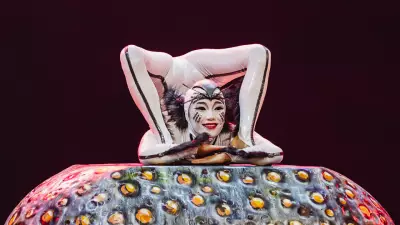 Cirque du Soleil'in Büyülü Gösterisi OVO, İstanbul'da Sahnelenecek