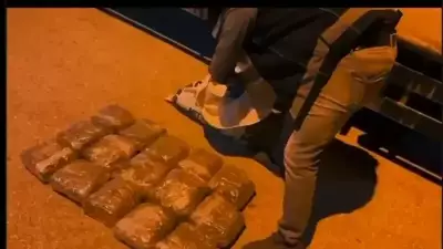 Hatay'da Kamyonette 11 Kilo 200 Gram Skunk Ele Geçirildi, 1 Kişi Tutuklandı