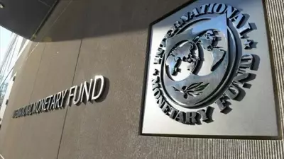 IMF Türkiye Raporunu Açıkladı: Dezenflasyon Programı Başarıyla İlerliyor