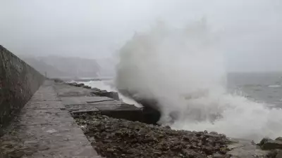 Karadeniz'de Fırtına Alarmı: Ulaşım Aksamaları ve Zehirlenme Riski