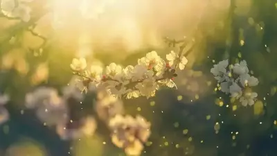 İlk Cemre Havaya Düştü! İkinci Cemre Ne Zaman Suya Düşecek?