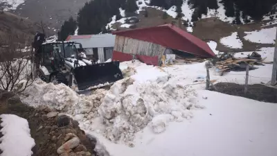 Ordu'da Çığ Felaketi: Maden Obası'nda Ahşap Ev Yıkıldı, Can Kaybı Yok