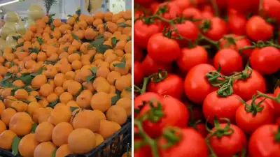 İstanbul'da Ocak Ayında Meyve ve Sebze Tüketimi Açıklandı: Mandalina ve Domates Başı Çekti