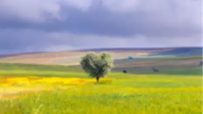 TOKİ 29 İlde 243 Arsa Satışı: Tarih, Ödeme Planı ve Nitelikler Açıklandı