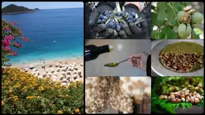 Türkiye'de Coğrafi İşaretlerde Rekor Artış: 2025'te 125 Yeni Tescil