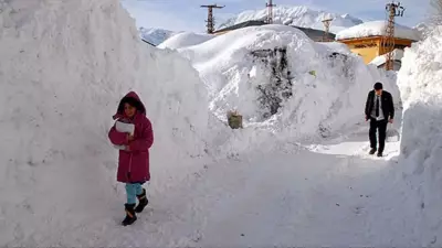 Tunceli'de Kar Tatili: 3 İlçede Okullar 1 Gün Kapandı