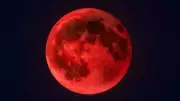 Kanlı Ay Tutulması İçin Geri Sayım: 2026'da Gökyüzünde Kızıl Görsel Şölen