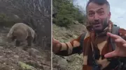 Kuş Gözlemcisi Arazide Aniden Bir Ayı ile Karşılaşınca Büyük Korku Yaşadı