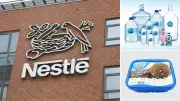 Nestle Boykot Vurdu: Satışlar Düştü, 16 Bin Kişi İşten Çıkacak