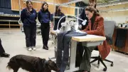 Prenses Kate Middleton Kot Fabrikasında Dikiş Dikti ve Prens William'a Özel Hediye Hazırladı