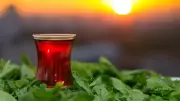 Türk Çayına Küresel Talep Patlaması: 51 Ülkeye İhracat 2 Milyon Doları Aştı